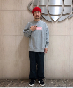 styling_image