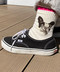 thumbail7