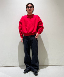 styling_image
