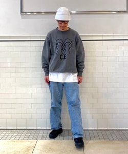 styling_image