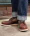 thumbail6