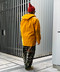 thumbail4