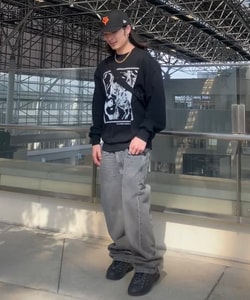 styling_image