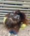 thumbail10