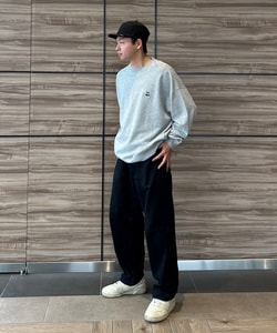 styling_image