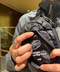thumbail9