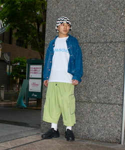 styling_image