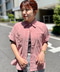 thumbail5