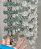 thumbail10