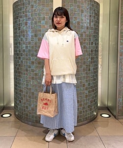 styling_image