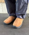 thumbail5