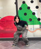 thumbail6