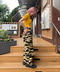 thumbail3
