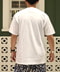 thumbail8