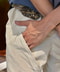 thumbail7