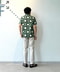 thumbail6