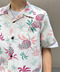 thumbail6