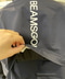 thumbail8