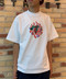 thumbail2