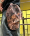 thumbail7