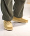 thumbail7
