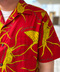 thumbail4
