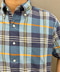 thumbail5