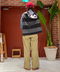 thumbail3