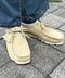 thumbail4