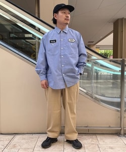 styling_image
