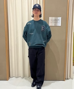 styling_image