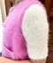 thumbail5