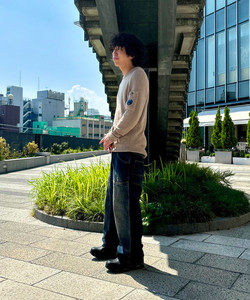 styling_image