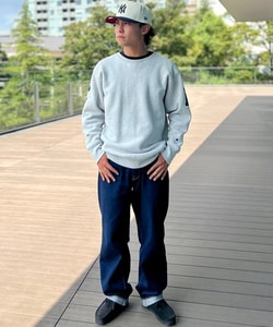 styling_image