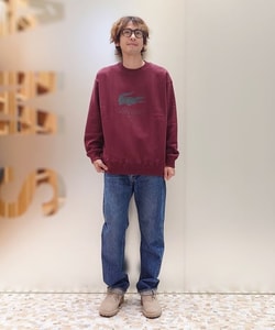 styling_image