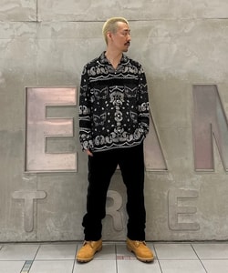 styling_image
