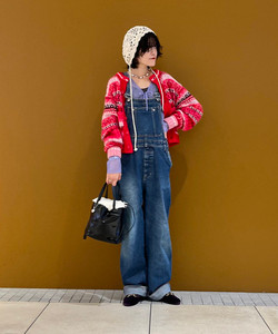 styling_image