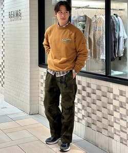 styling_image