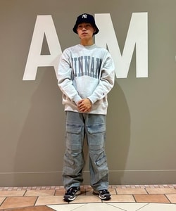 styling_image