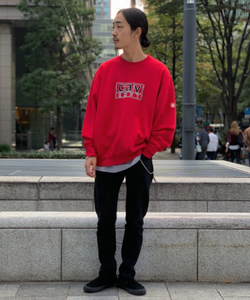 styling_image