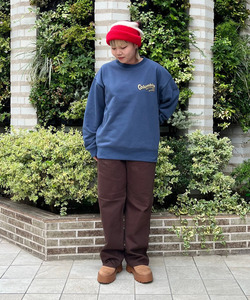 styling_image
