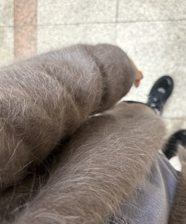 吉田 花さんの「BEAMS WOMEN｜カット コーデュロイ バイカー ショーツ」を使ったコーディネート