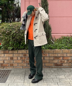 styling_image