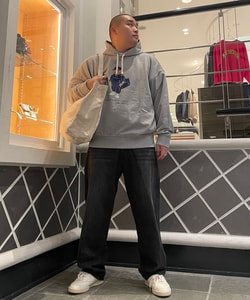 styling_image