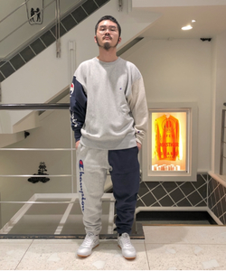 styling_image