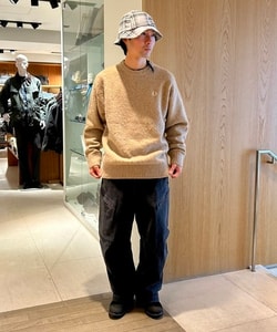 styling_image