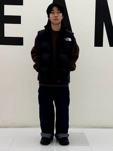 BEAMS（ビームス）THE NORTH FACE / Nuptse Vest（ブルゾン ダウン