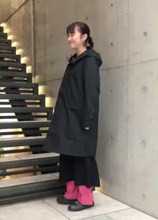 the north face bold hooded coat